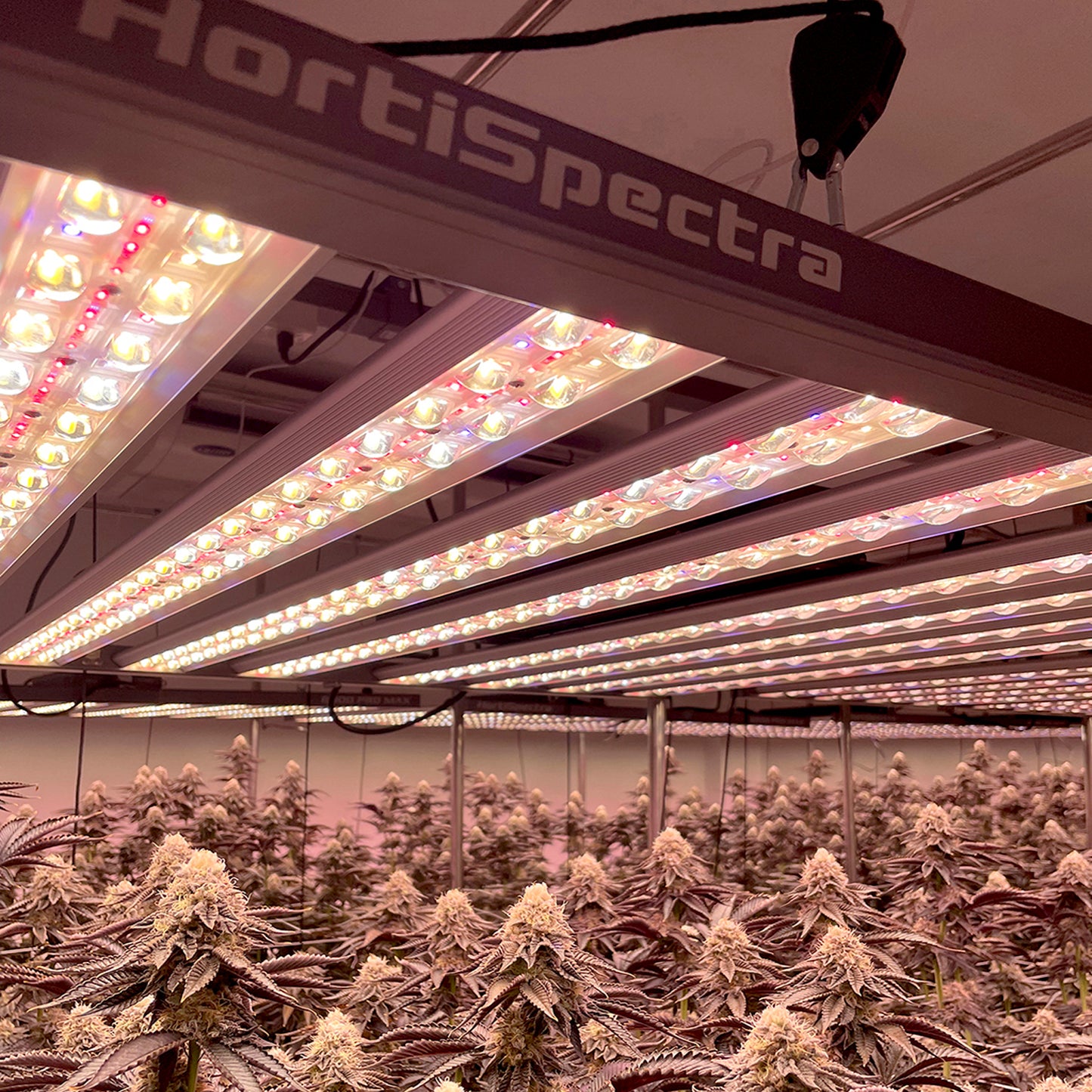 B600 PRO MAX 720W Targeted Full Spectrum LED Grow Light