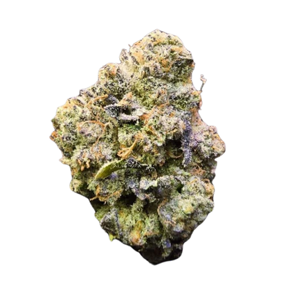 Jelly Lemonade Seeds - Regular