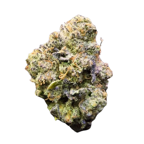 Jelly Lemonade Seeds - Regular