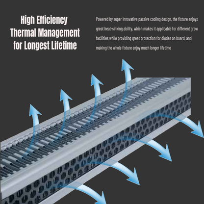LED Greenhouse Light