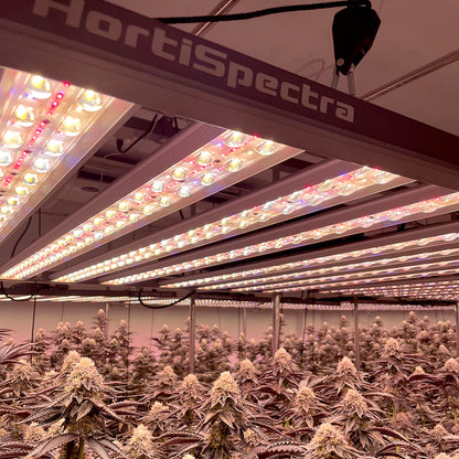 B600 PRO MAX 720W Targeted Full Spectrum LED Grow Light