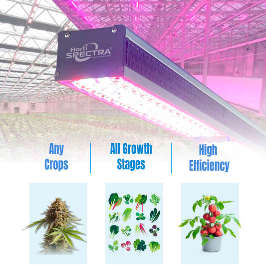 LED Greenhouse Light