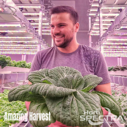 36W Single-channel LED Bar Light for Indoor Vertical Farming