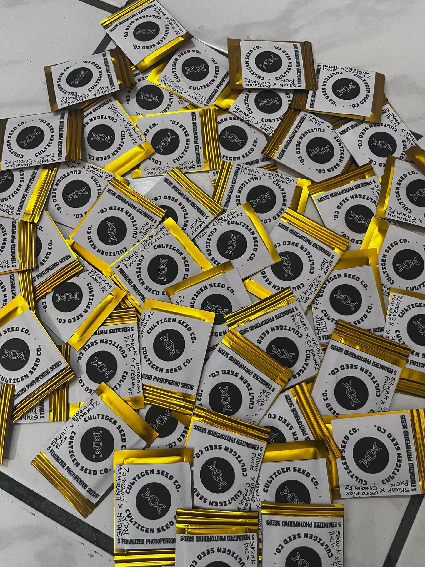 5x Skunk Puck x Ukrainian Cream F2