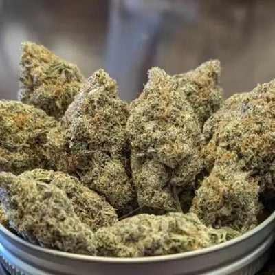 Ethos   Apex   R1   Feminisiert