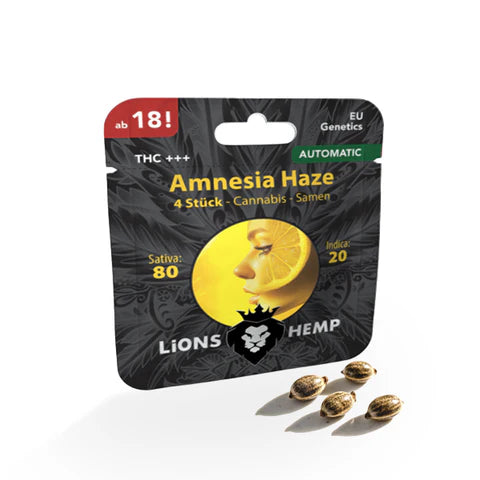 Hanfsamen Amnesia Haze autoflowering 4 Seed Pack