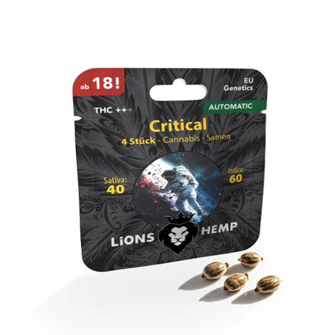 Hanfsamen Critical autoflowering 4 Seed Pack